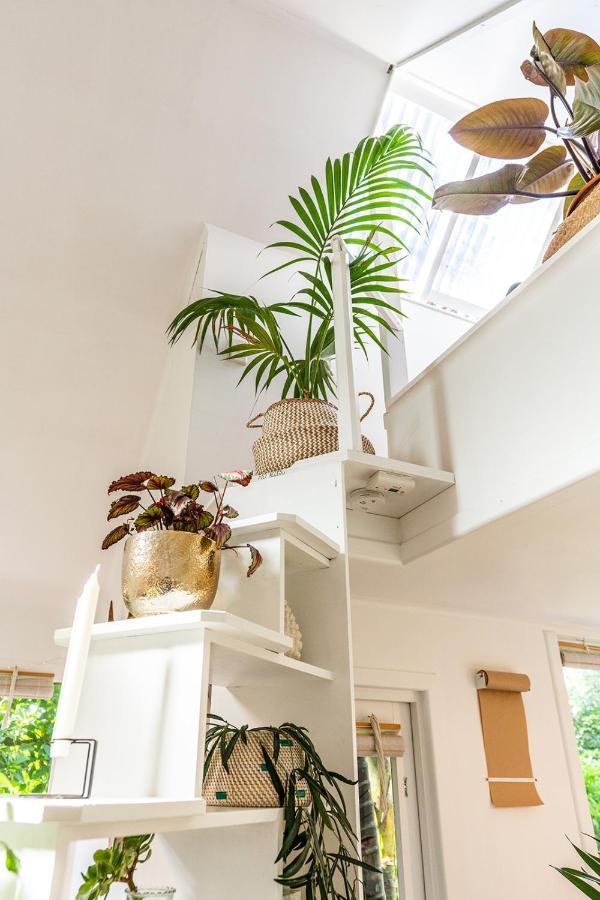 Вілла Boho Hill Waiheke Island Palm Beach Екстер'єр фото