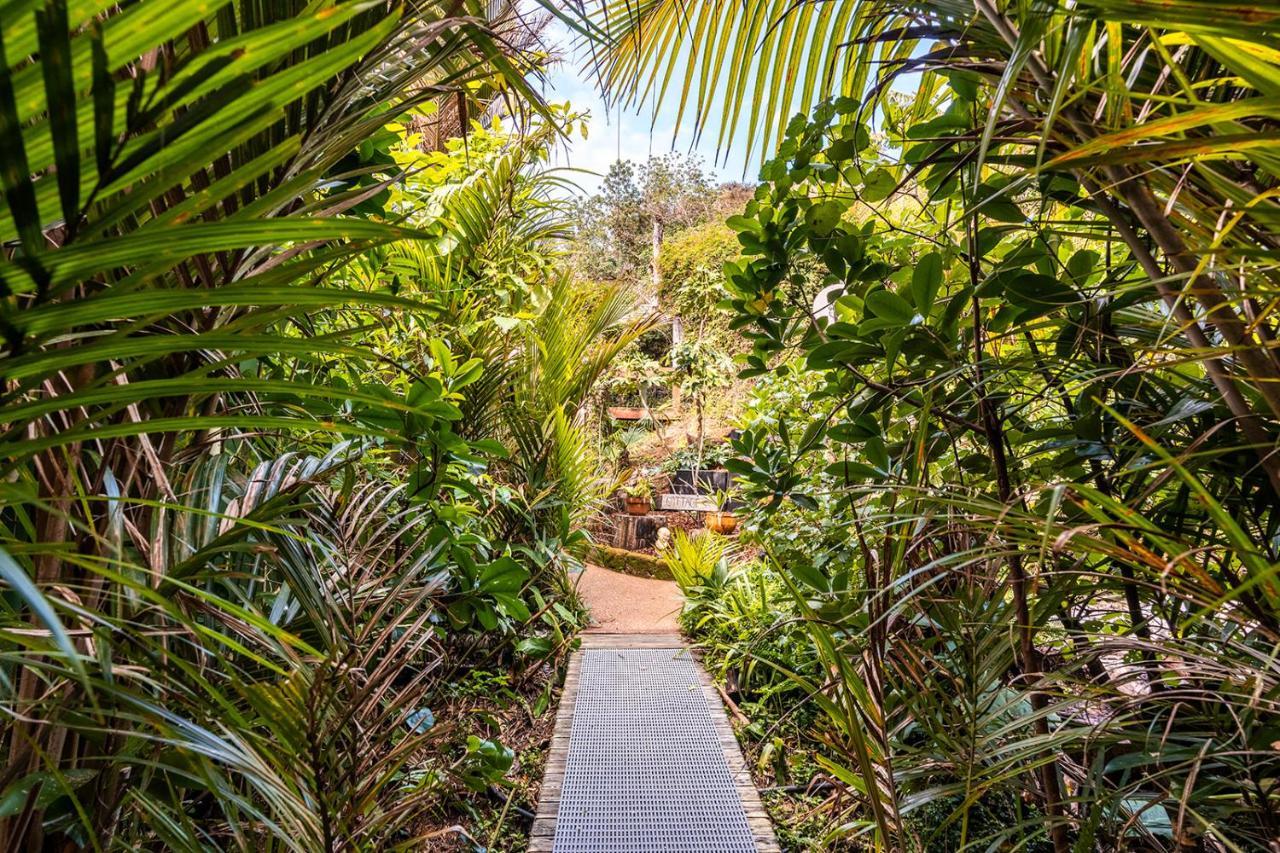 Вілла Boho Hill Waiheke Island Palm Beach Екстер'єр фото