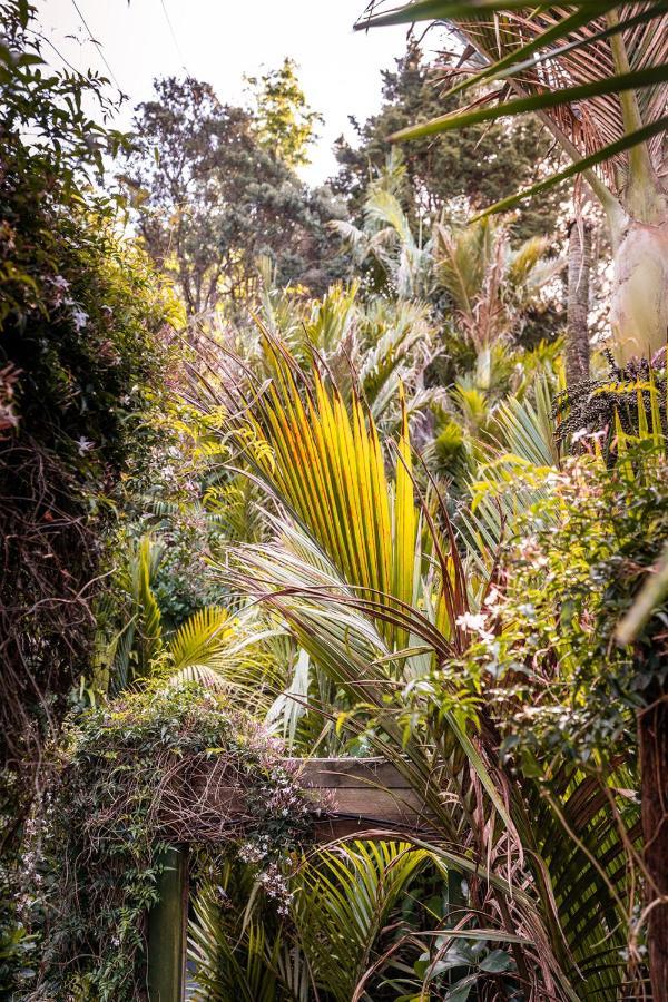Вілла Boho Hill Waiheke Island Palm Beach Екстер'єр фото