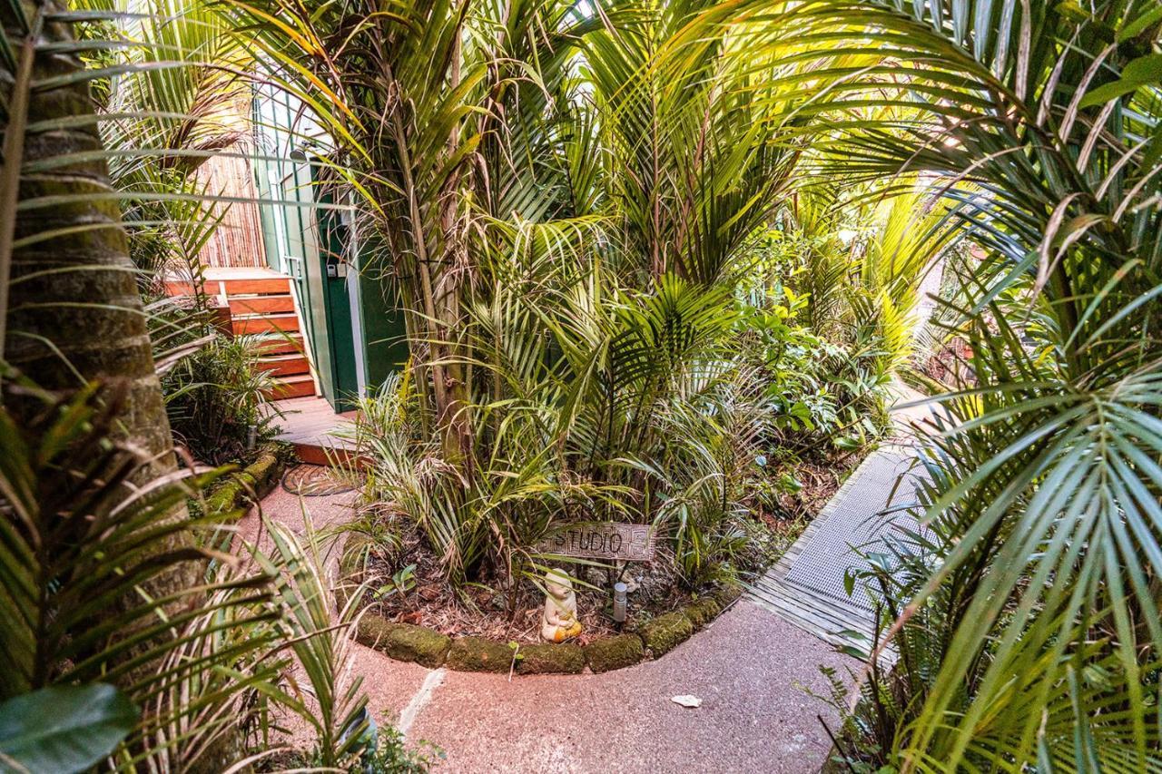 Вілла Boho Hill Waiheke Island Palm Beach Екстер'єр фото
